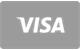 Visa card payment method accepted at SavaSpin Casino